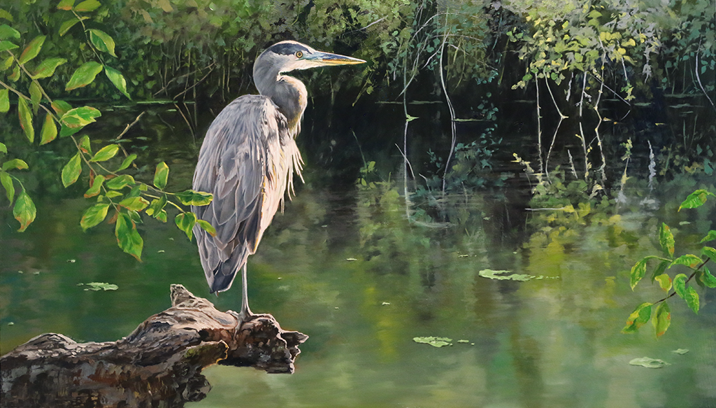 Studying the Stream (Blue Heron). Oil on Panel, 35" x 20"