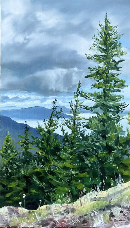 View from Mt. Constitution - oil on panel